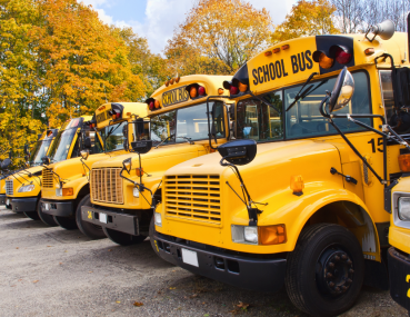 buses for york region